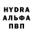 А ПВП крисы CK Lyamis Shynnazar