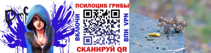 Псилоцибиновые грибы MAGIC MUSHROOMS  ОМГ ОМГ как зайти  Усть-Катав  хочу  
